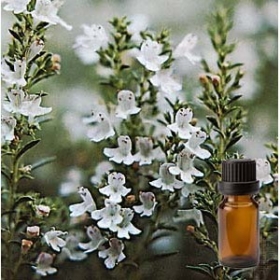 白麝香精油 20ml