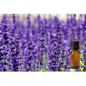 薰衣草精油 100ml 