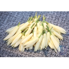 玉蘭花精油 20ml