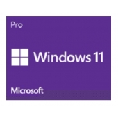 C-Win Pro 11 繁中專業64位元隨機版 軟體